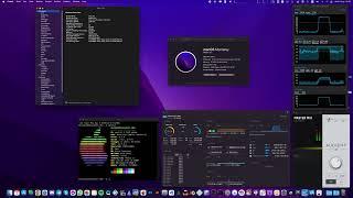 i9 12900K / Radeon RX 6900 XT / 32GB RAM / OpenCore Hackintosh MacOS Monterey 12.5