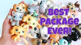 HUGE LPS PACKAGE!!! (So Many Dream Pets!)