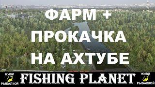 Фарм и прокачка на реке Ахтуба в игре Fishing planet