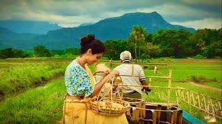 The wonder of hidden Ceylon villages | ගැමි ජීවිතයේ අසිරිය | Srilankan traditional lifestyle