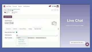 Odoo Live Chat - Pre Chat Form - v18