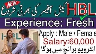 HBL Cash Officer Jobs 2025: Fresh Graduation | Apply Online Now! | Step-by-Step Guide