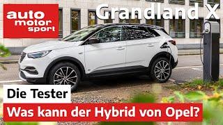 Opel Grandland X Hybrid: Der Vernünftige unter den SUV? - Test/Review | auto motor und sport