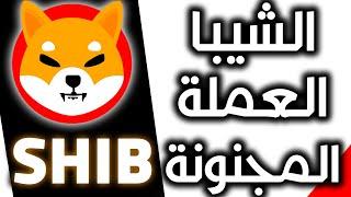 الشيبا  SHIBA  إلى أين؟؟ تحليل الحوت