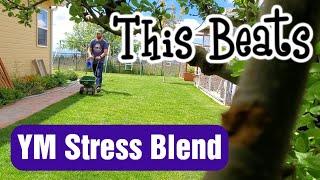 BETTER Than Yard Mastery Stress Blend Summer Fertilizer