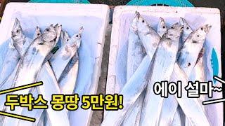 '여긴 왜그리 싼 걸까요?' 제주 도민들이 이용하는 수산시장