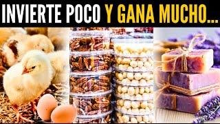 10 Negocios con POCA inversión y MUCHA ganancia