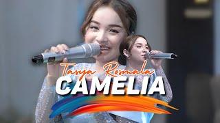 Tasya Rosmala - Camelia || Ijjoo Production - Versi Dangdut || Live Pernikahan Badi & Feby Madiun