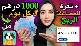 الربح من تطبيق lovely pet ربحت منه 100 دولار في اليوم + استراتيجية سرية للمضاعفة الربح من التطبيق 