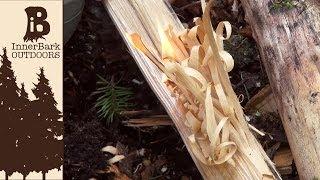 How to Make Feather Sticks:  Dry Tinder in Wet Weather