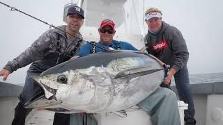 Sight Casting Topwater Tuna