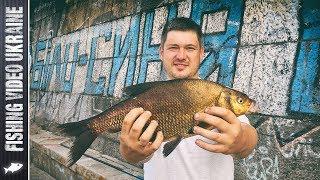 Bite of large bream on kievskaya embankment | FishingVideoUkraine