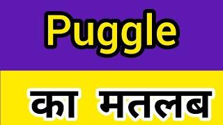 Puggle meaning in hindi || Puggle ka matlab kya hota hai || word meaning english to hindi