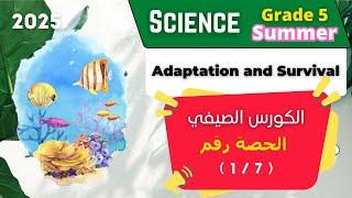 الكورس الصيفي | Grade 5 | Science | الحصة رقم ( 1/7 ) | Plant and Ecosystem