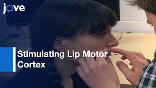 Stimulating Lip Motor Cortex With Transcranial Magnetic Stimulation l Protocol Preview