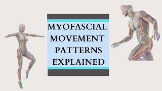 Myofascial sling exercises vs. isolation exercises