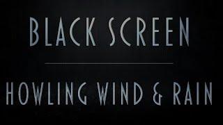 Howling Wind & Rain Sounds | Pure Black Screen For Uninterrupted Sleep | Fall asleep fast | 8Hrs