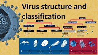 Virus structure and Classification : DNA and  RNA virus