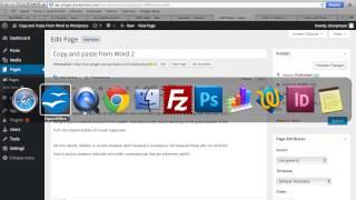 Copy and paste from word to Wordpress 2