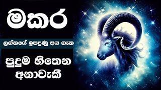 මකර ලග්නයේ ඉපදුණු අය ගැන පුදුම හිතෙන අනාවැකී Capricorn Sign Astrology / Makara Lagnaya