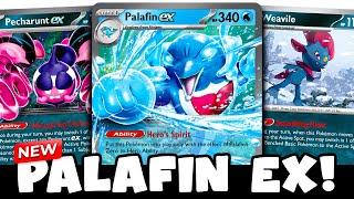 Pecharunt & Weavile just BROKE Palafin! (EASY Turn 2 Palafin ex)