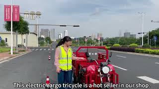 PUTIAN Electric Tricycle: Handbrake Performance Test#electricvehicle