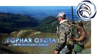 Mountain Hunting in RUSSIA: Kamchatka Sheep