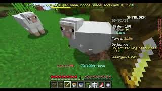 Hypixel skyblock quest guide EP 5 Give wool to the Carpenter