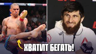 ️АНКАЛАЕВ после РАКИЧА прикончит ПЕРЕЙРУ?! | Перейра - Раунтри, обзор UFC 307 | Setanta Sports