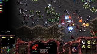 Starcraft Brood War HLS - quick game