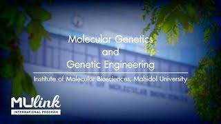 Molecular Genetics and Genetic Engineering | MU Link International [by Mahidol World]