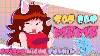 SAD CAT DANCE || MEME || Friday Night Funkin Animation #fridaynightfunkin