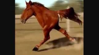 Retarded Running Horse