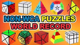 Non-WCA Puzzles World Record//Rubik Studio//