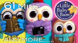 A Wise Old Owl | Plus Lots More LittleBabyBum - Nursery Rhymes for Babies! ABCs and 123s