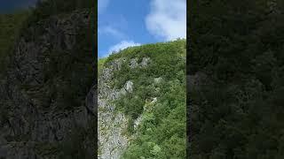 eagle hunting in the mountains  in north Norway 