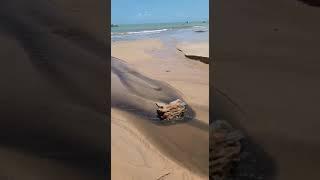 Popular flagra água suja sendo lançada no mar da praia de Manaíra, em João Pessoa