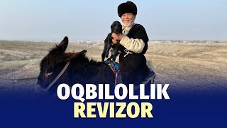 Qir odami: Oqbilollik Revizor