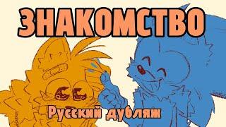 ЗНАКОМСТВО -||- Комикс про Соника и Тейлза (Русский Дубляж)