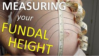 How to Measure Fundal Height | Week 21