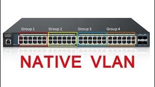 NATIVE VLAN Explained by Tech Guru Manjit