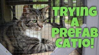 Trying a Prefab Catio - Unboxing, Setup, Tour - Aivituvin Cat Enclosure Review