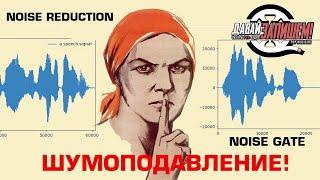 Шумоподавление. Noise Gate и Noise Reduction (практические советы, фишки, варианты использования)