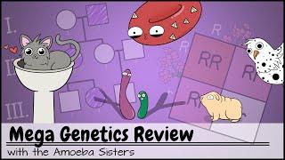 Mega Genetics Review: Mendelian and non-Mendelian Genetics