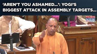 CM Yogi's Biggest Attack In UP Assembly: ‘Ambedkar-Secularism’ Reminder To SP, Opposition? Watch