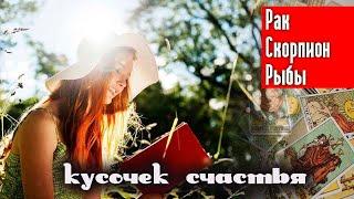 Кусочек счастья | Рак Скорпион Рыбы