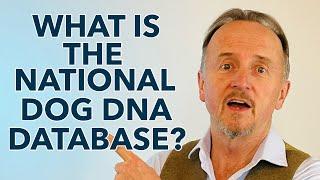 What is The National Dog DNA Database ?