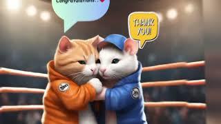 Boxing Final ;Cat Vs Rat ;Ratwin & cat wish️#cats #boxing @furry-cornerz