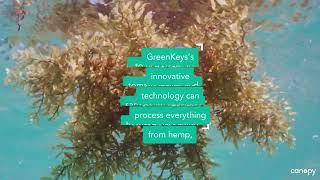 GreenKey turns wastes into packaging solutions to help protect forests | Next Gen Solutions