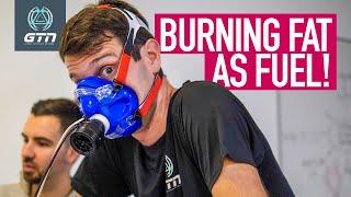 Which Presenter Burns The Most Fat? | GTN Does Science!